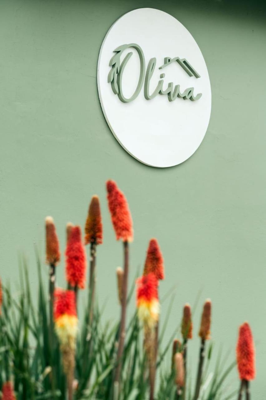 Oliva Hosteria Y Apart 埃尔卡拉法特 外观 照片
